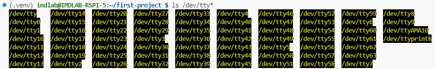 尚未接上 Arduino 時，終端機列出的 /dev/tty* 裝置列表